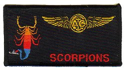画像1: HSL-49 "Scorpions" エアクルーネームタグ