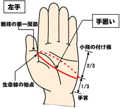 画像1: パイロットグローブ　人工皮革