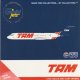 GeminiJets　1/400　TAM / タム/ラタム ブラジル Fokker 100 PT-MRA