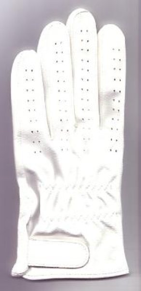画像1: パイロットグローブ (1)