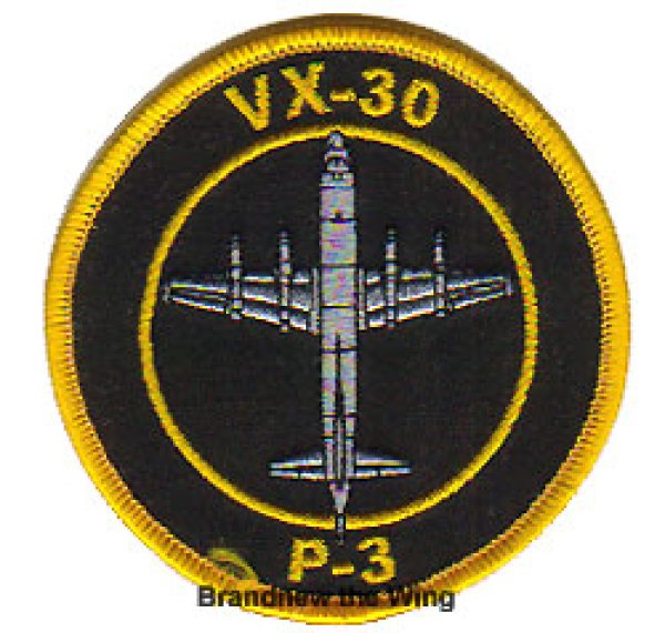 画像1: VX-30 "Bloodhounds" 肩パッチ(P-3C) (1)