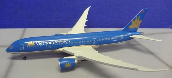 画像1: B787-8 Vietnam Airlines