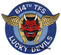 画像1: 米空軍 614TFS"lucky Devils"スコードロンパッチ